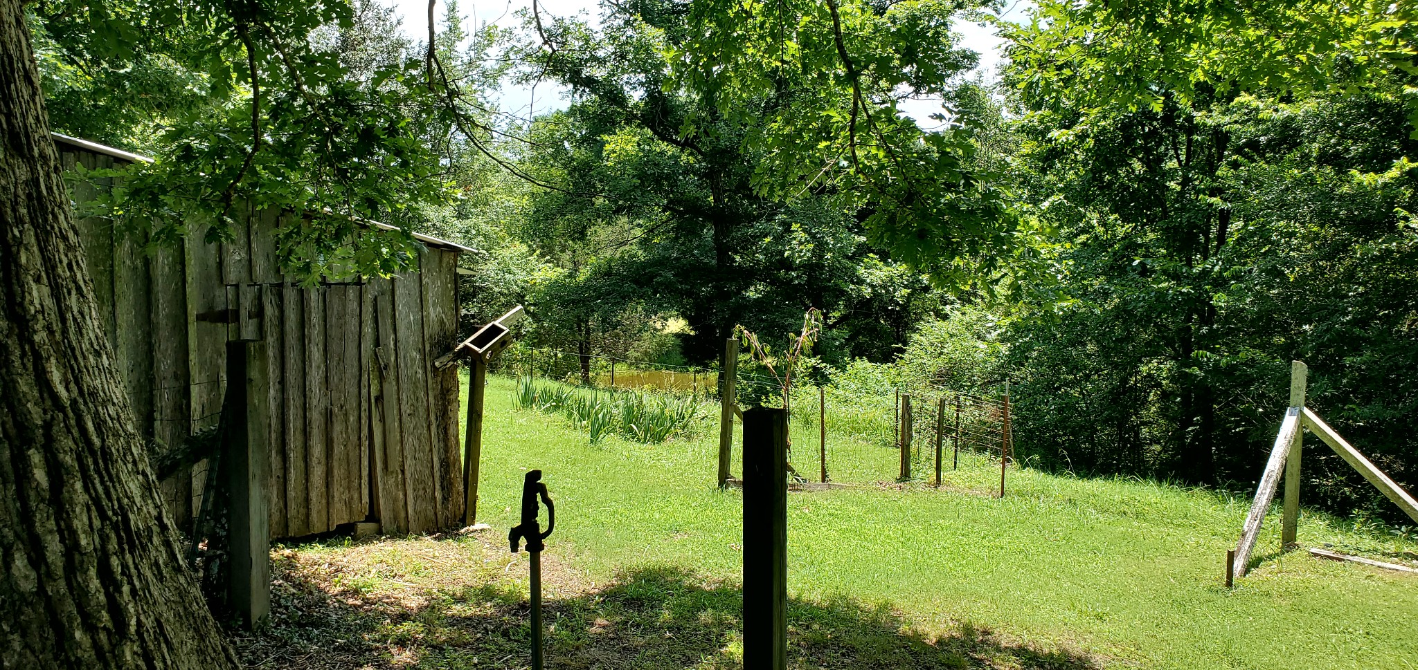 1118 Bandy Road Ashland City, TN 37015 - Photo 32 of 40 Gallery Image 32