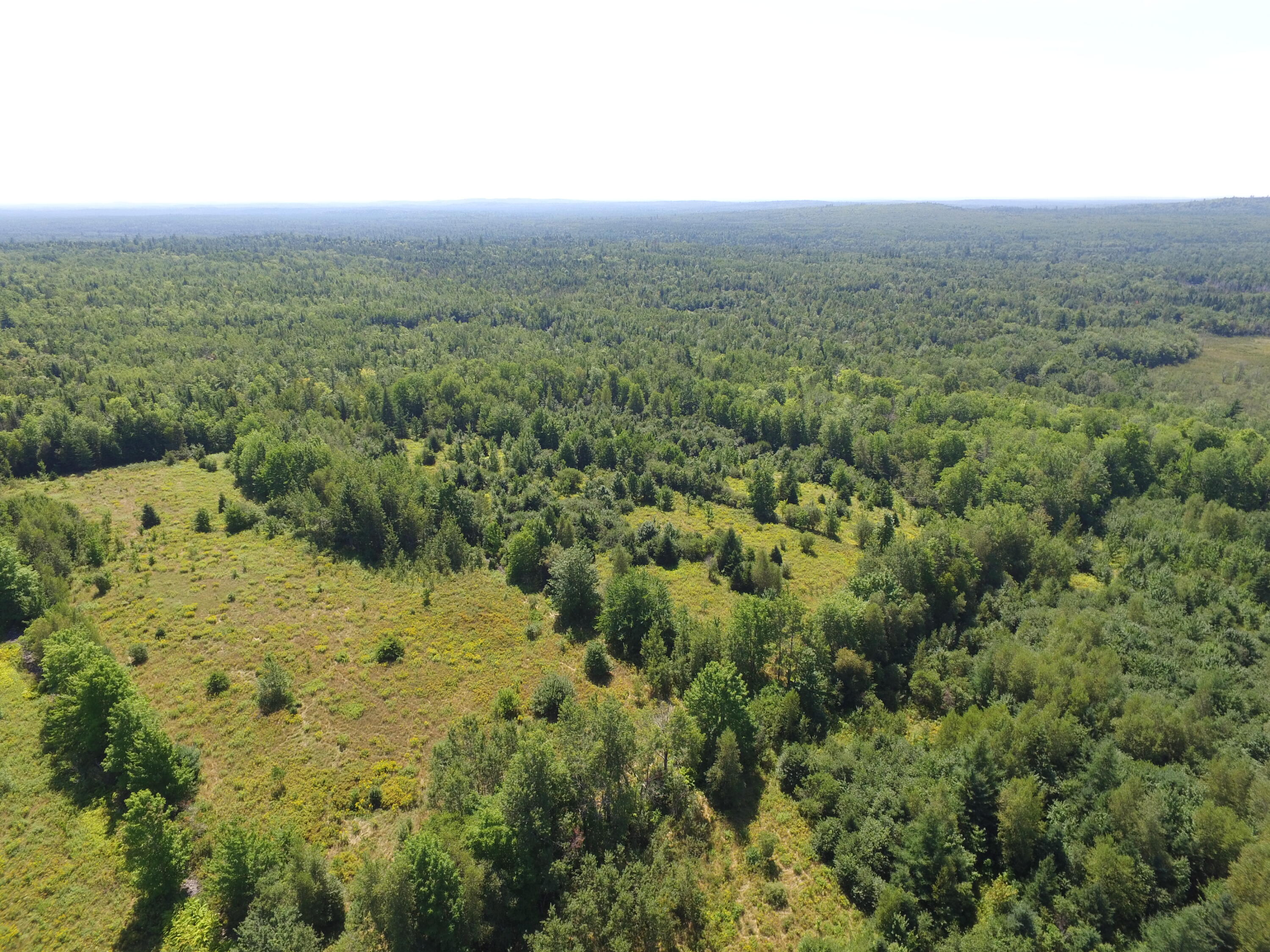 0 Smith Ridge Road Charlotte, ME 04666 - Photo 6 of 8 DJI_0055