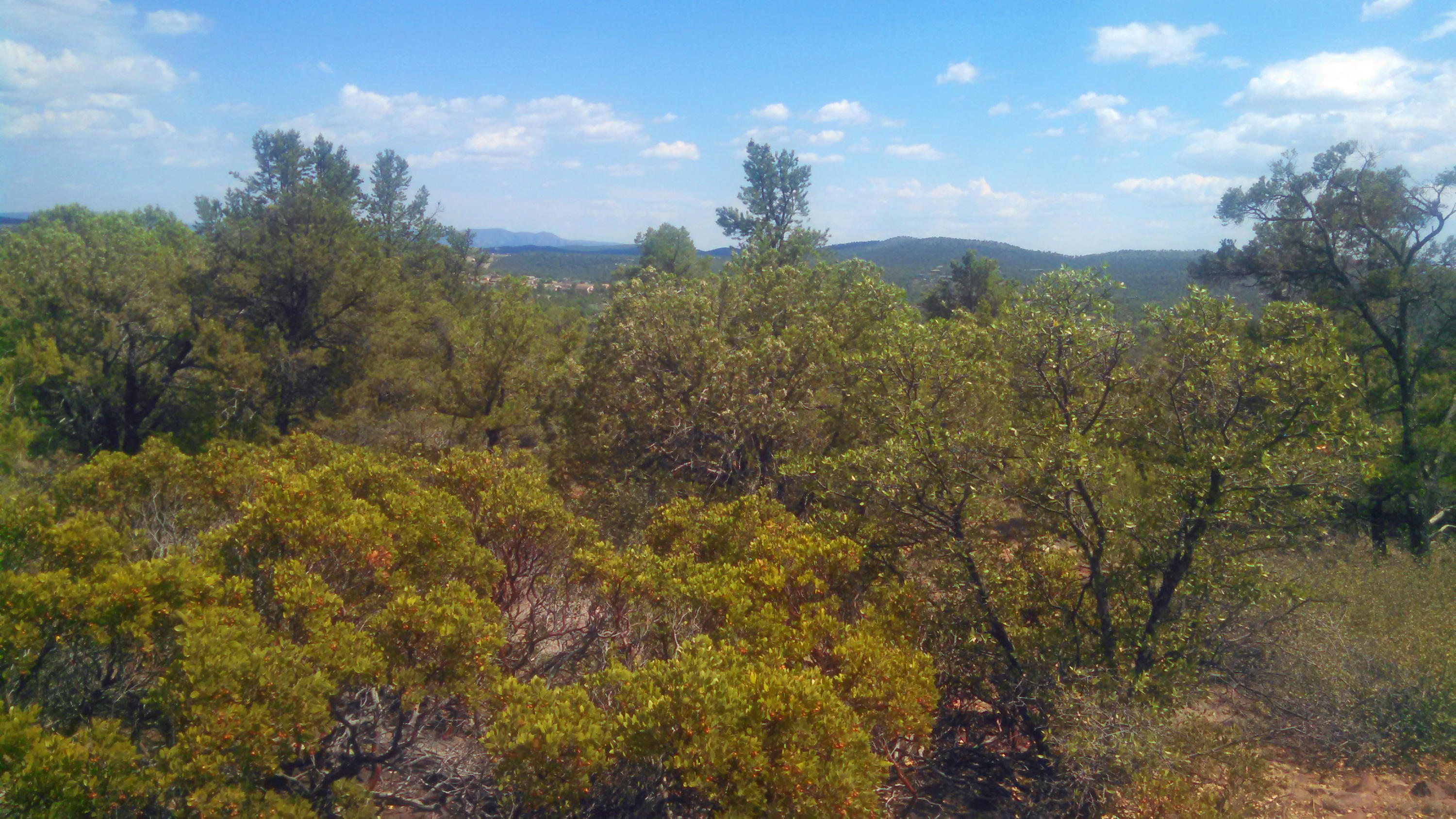 1200 West Airport Road Payson, AZ 85541 - Photo 49 of 50