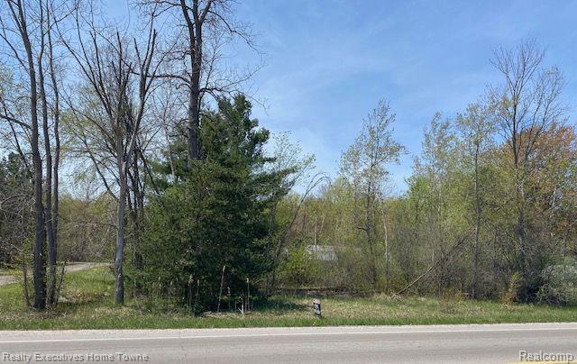 0 Range Road Smiths Creek, MI 48074 - Photo 1 of 4