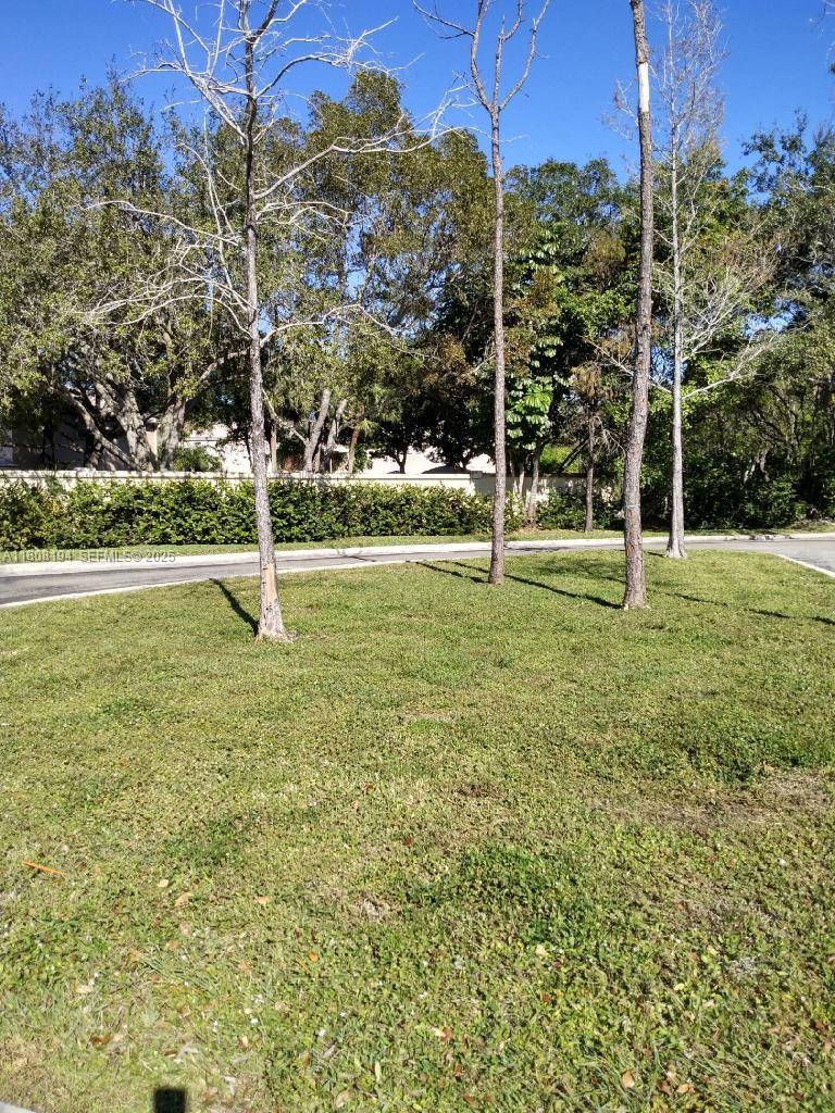 8191 Wiles Road Coral Springs, FL 33067 - Photo 3 of 5 Photo 3