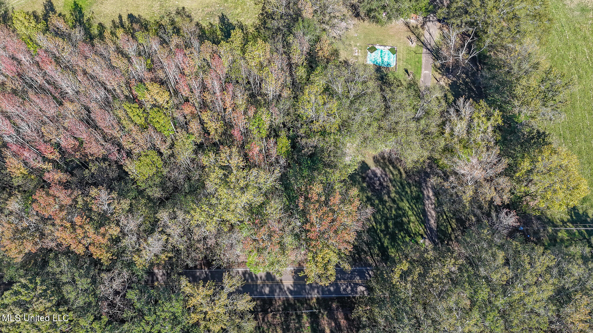 449 Old Highway 80 Morton, MS 39117 - Photo 8 of 39 449 Old Hwy 80 10