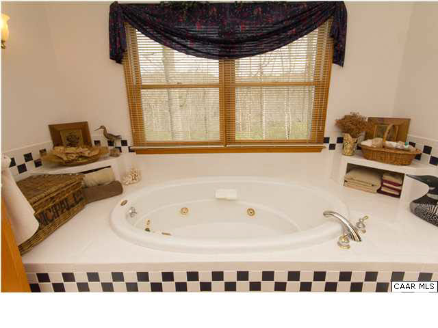 1011 Broken Island Road Palmyra, VA 22963 - Photo 14 of 38 Relax in your Master Jacuzzi Spa & Enjoy The View