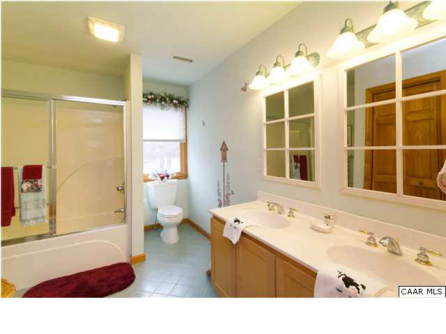 1011 Broken Island Road Palmyra, VA 22963 - Photo 23 of 38 Guest Bath with Custom Murals
