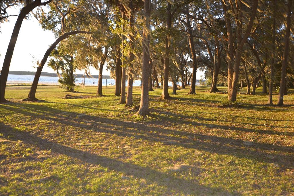 25144 Northeast 140th Loop Fort McCoy, FL 32134 - Photo 15 of 17 a view of an ocean with trees