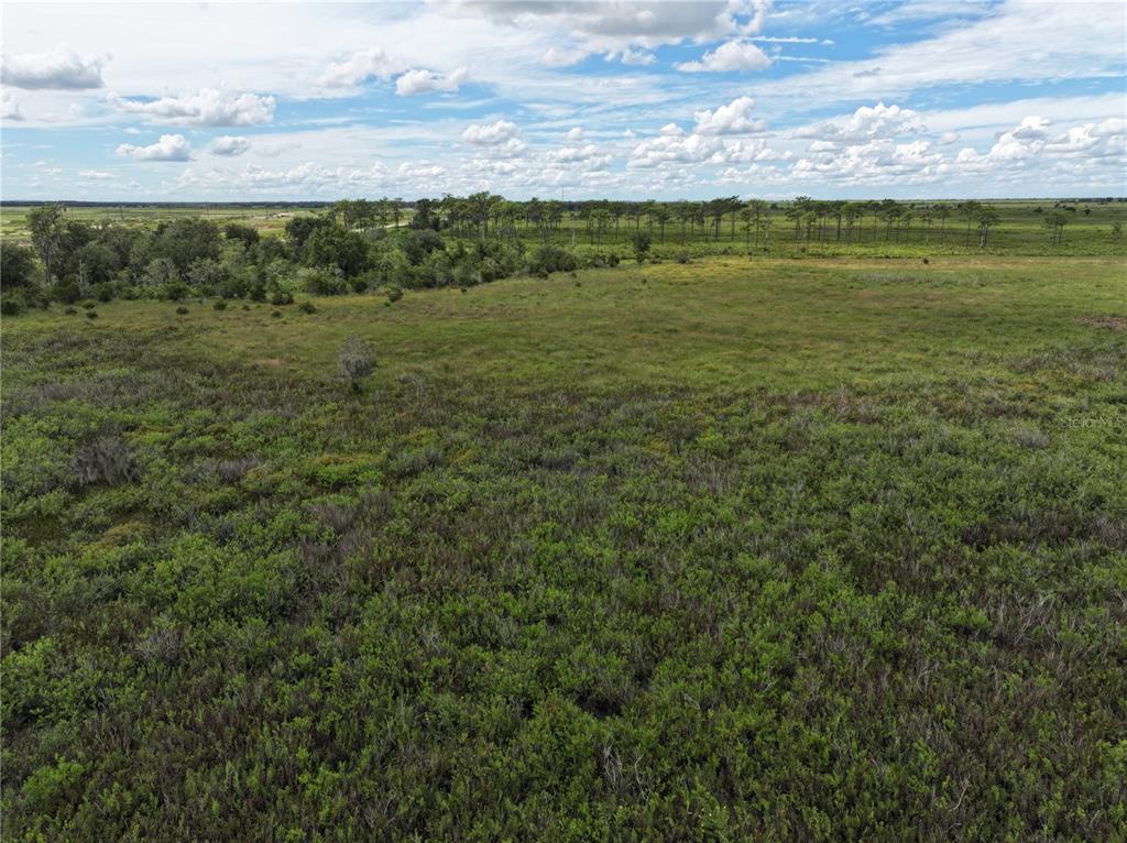 County Line Road East Fort Meade, FL 33841 - Photo 15 of 25