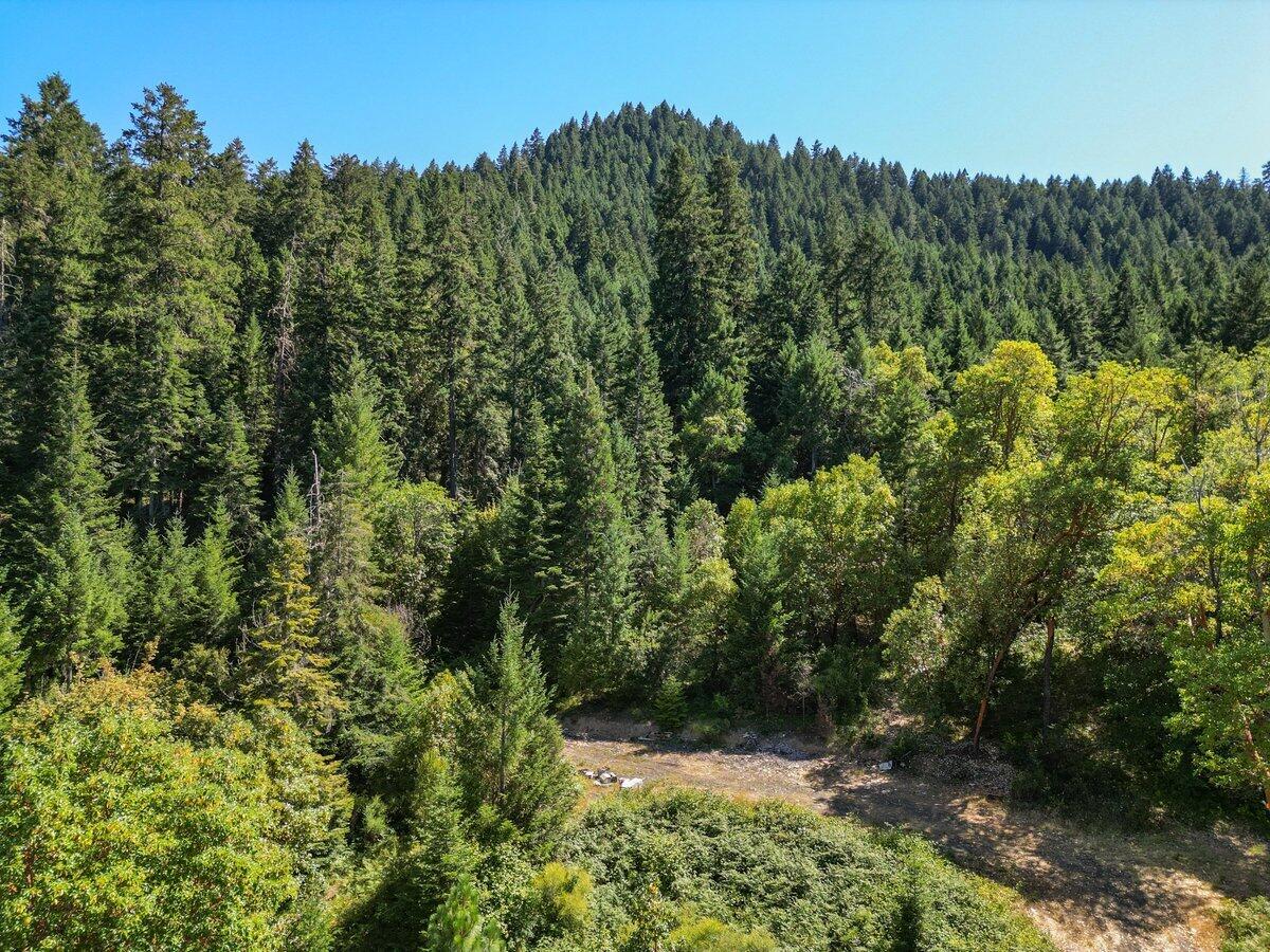 433 Old Stage Road Wolf Creek, OR 97497 - Photo 4 of 13 Aerial