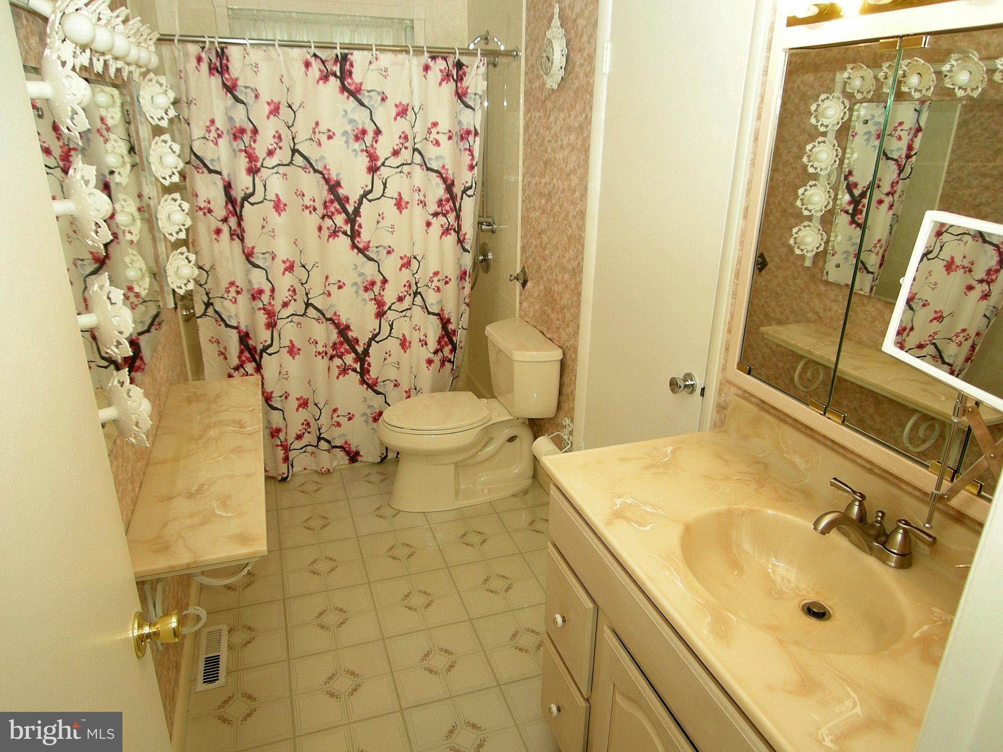 526 Maple Ridge Lane Odenton, MD 21113 - Photo 12 of 19 Master bath
