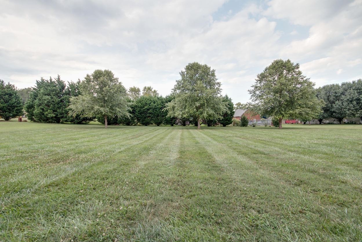 92 Freeman Court Winchester, TN 37398 - Photo 6 of 19 a view of a green field with trees in the background