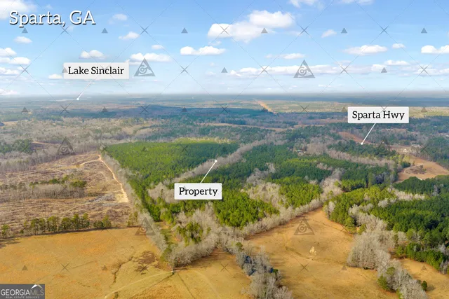 a plant with a vase of flowers