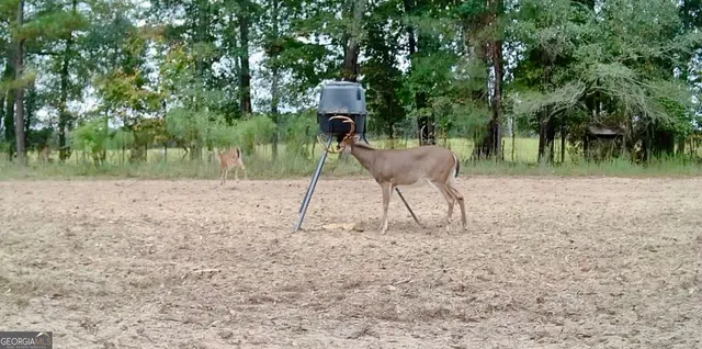 $697,000 | 1027 Sparta Highway, Sparta, GA 31087