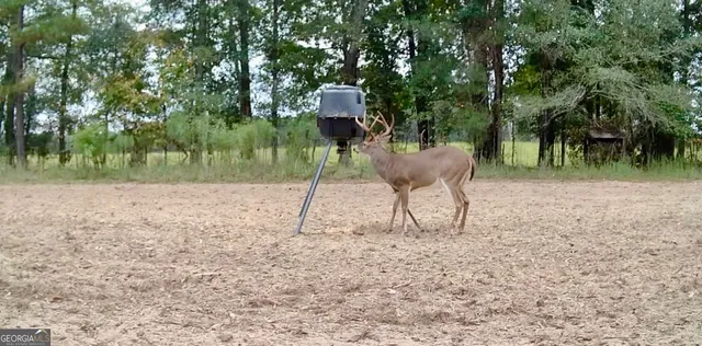 $697,000 | 1027 Sparta Highway, Sparta, GA 31087