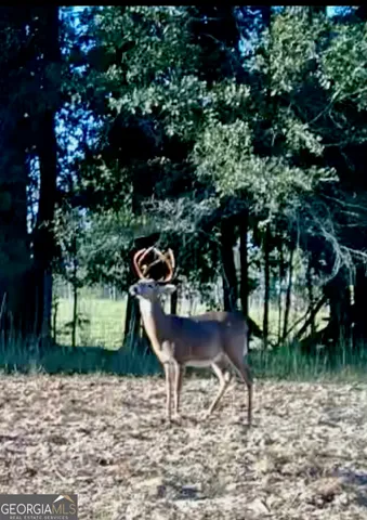 $665,000 | 1027 Sparta Highway, Sparta, GA 31087