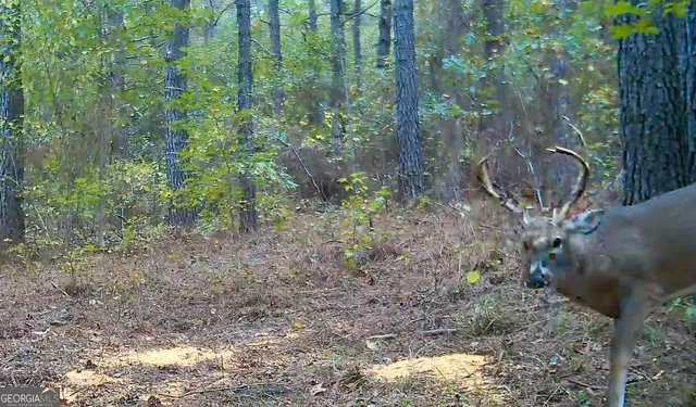 $697,000 | 1027 Sparta Highway, Sparta, GA 31087