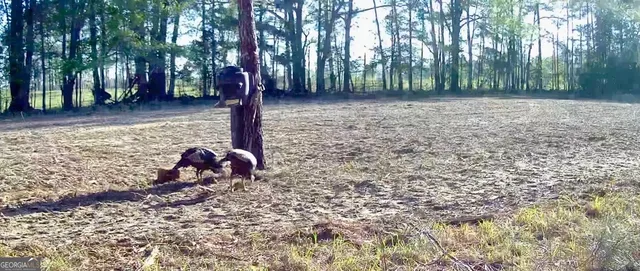 $697,000 | 1027 Sparta Highway, Sparta, GA 31087