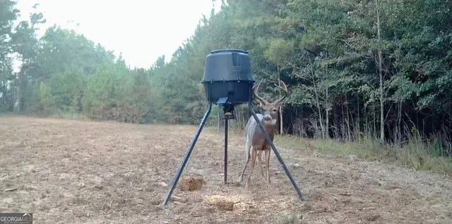 $697,000 | 1027 Sparta Highway, Sparta, GA 31087