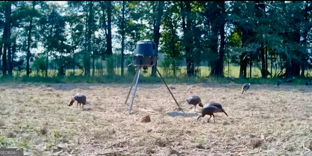 $697,000 | 1027 Sparta Highway, Sparta, GA 31087