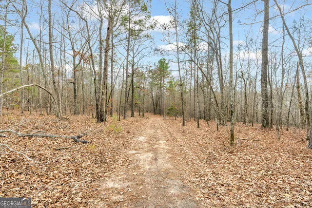 $697,000 | 1027 Sparta Highway, Sparta, GA 31087