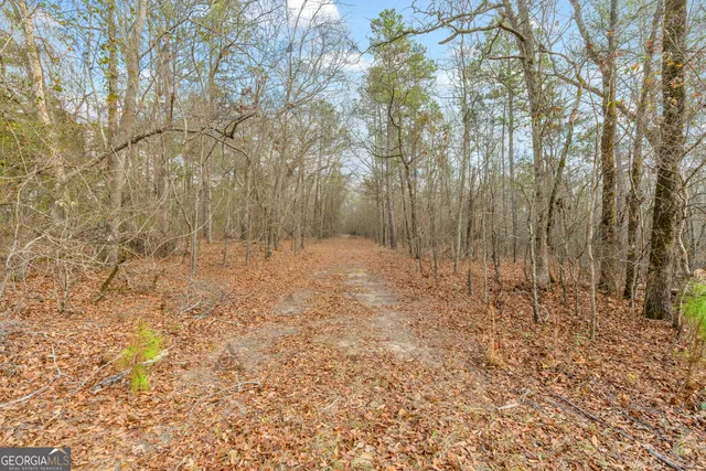 $697,000 | 1027 Sparta Highway, Sparta, GA 31087