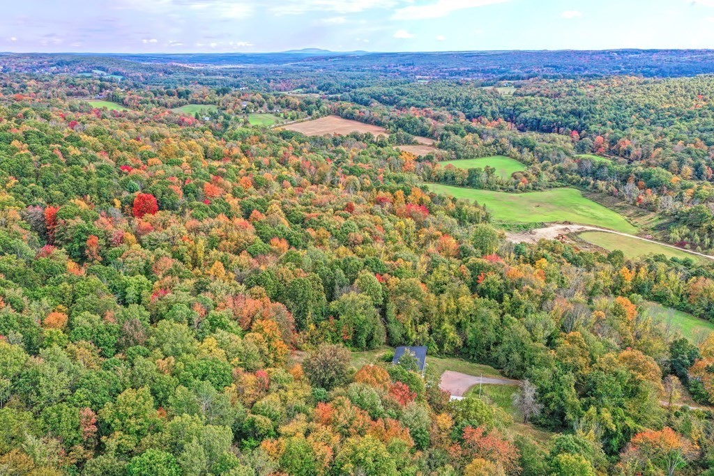 1167 Lower Road Hardwick, MA 01031 - Photo 2 of 42 a view of a city with lush green forest
