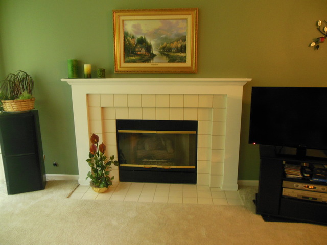 8247 Ripple Ridge, Unit 8247 Darien, IL 60561 - Photo 2 of 18