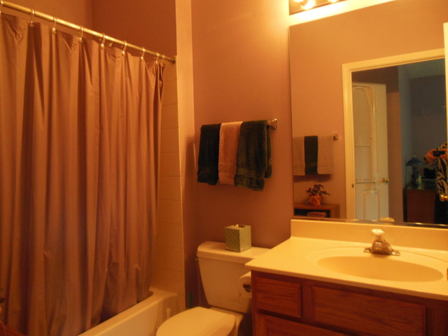 8247 Ripple Ridge, Unit 8247 Darien, IL 60561 - Photo 14 of 18