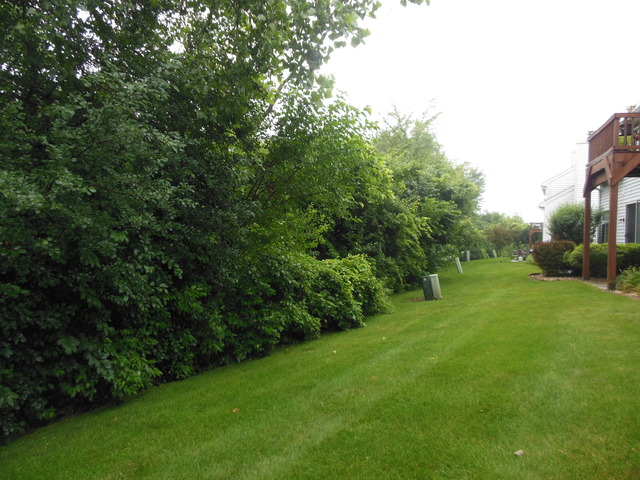 8247 Ripple Ridge, Unit 8247 Darien, IL 60561 - Photo 17 of 18