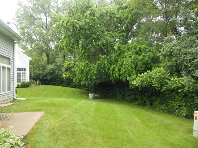 8247 Ripple Ridge, Unit 8247 Darien, IL 60561 - Photo 18 of 18