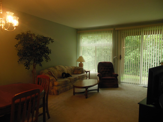 8247 Ripple Ridge, Unit 8247 Darien, IL 60561 - Photo 3 of 18