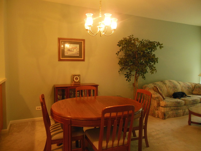 8247 Ripple Ridge, Unit 8247 Darien, IL 60561 - Photo 4 of 18