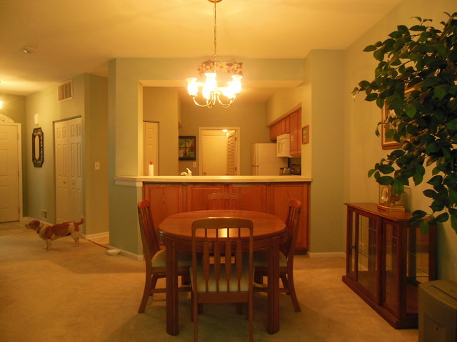8247 Ripple Ridge, Unit 8247 Darien, IL 60561 - Photo 5 of 18