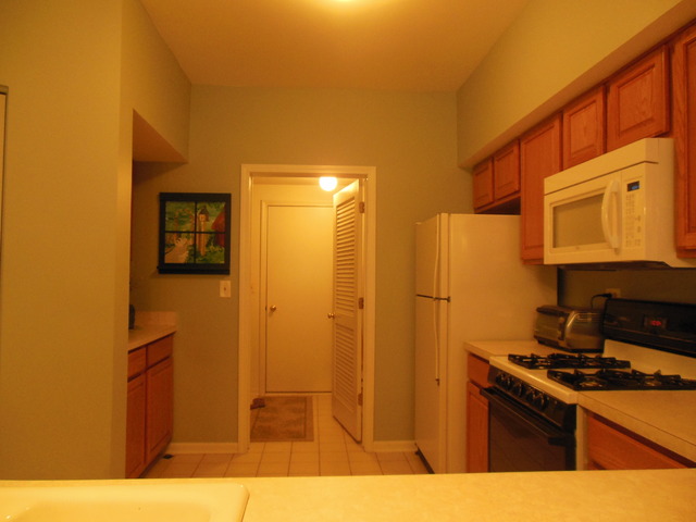 8247 Ripple Ridge, Unit 8247 Darien, IL 60561 - Photo 7 of 18