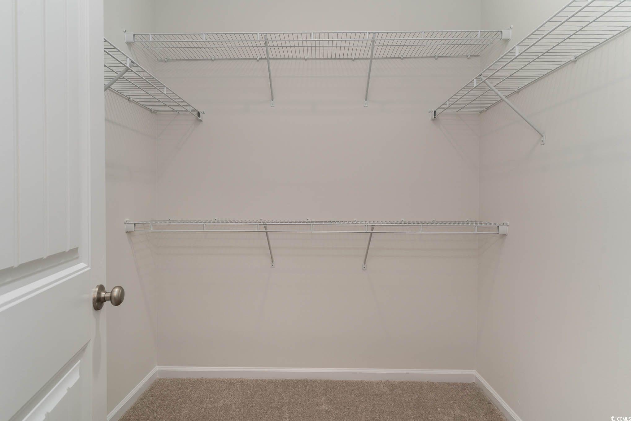 303 Lakota Loop Longs, SC 29568 - Photo 14 of 17 Spacious closet featuring carpet flooring