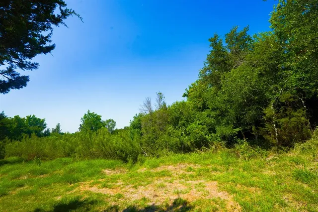 a backyard of a house with lots of green space