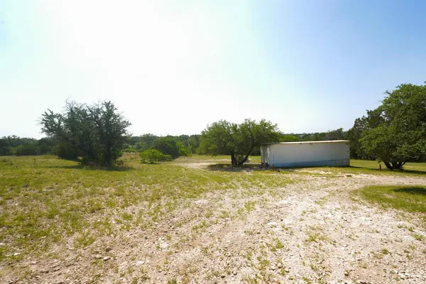 a view of a yard with a tree