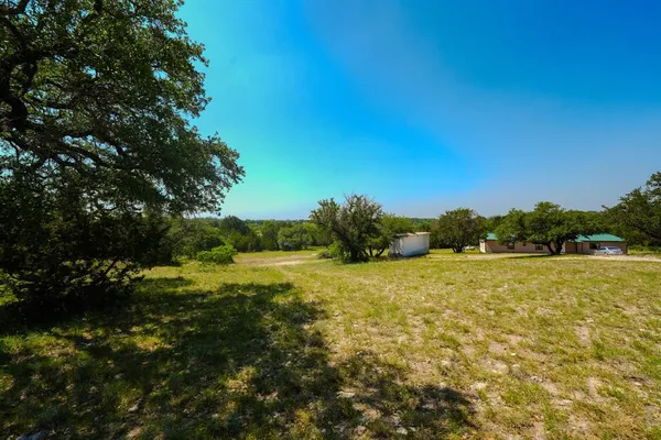 a view of a yard with plants and trees