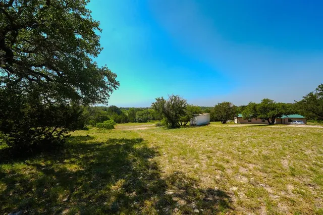 a view of a yard with plants and trees