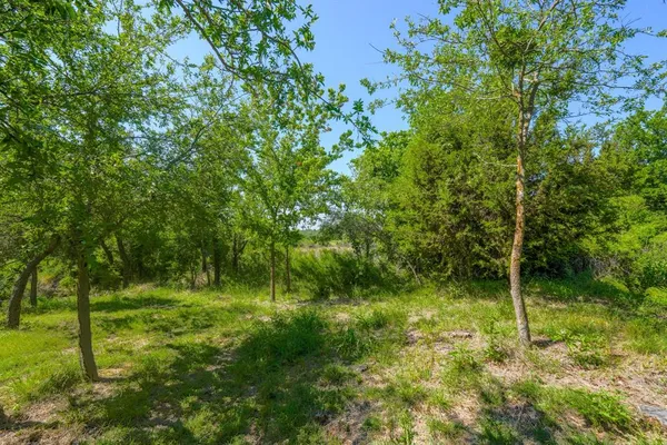a backyard of a house with lots of green space and garden