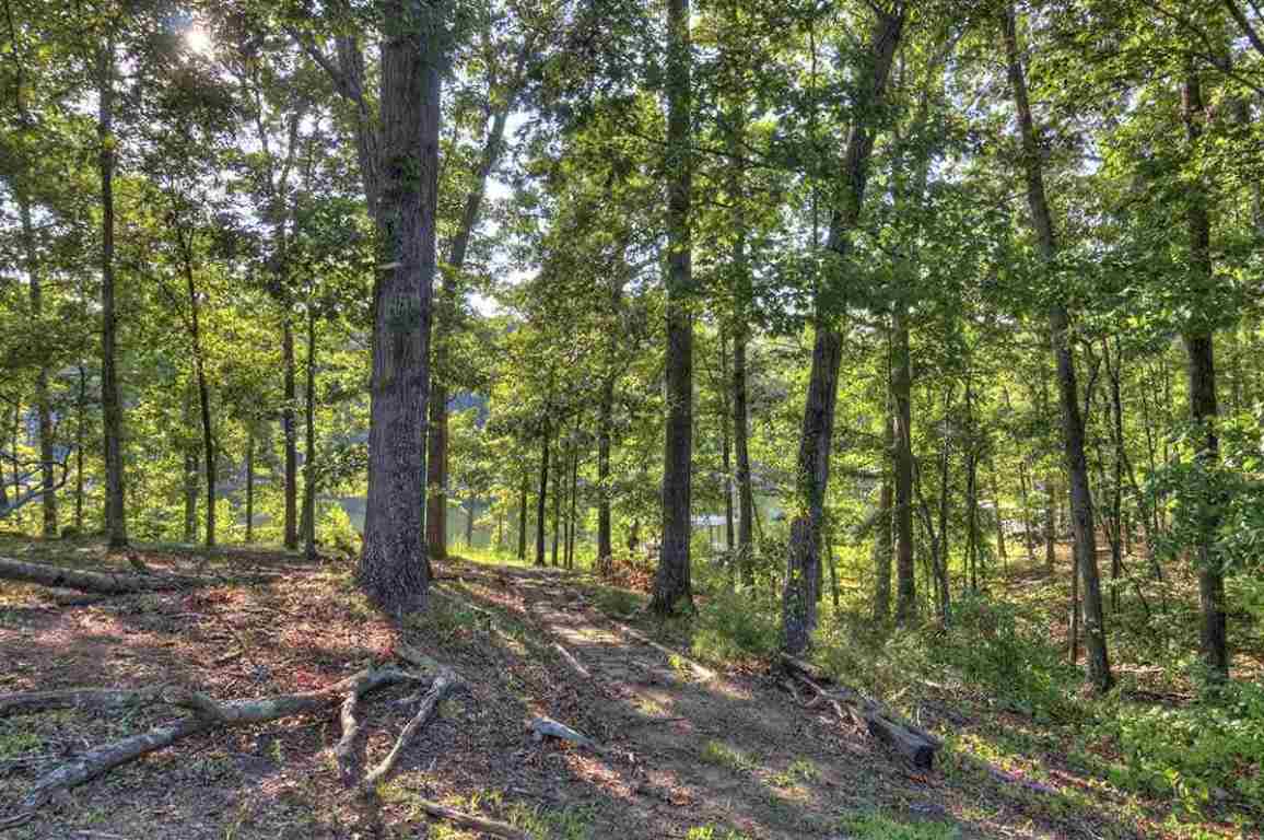 520 Gambrell Road Townville, SC 29689 - Photo 3 of 22 Gallery Image 3