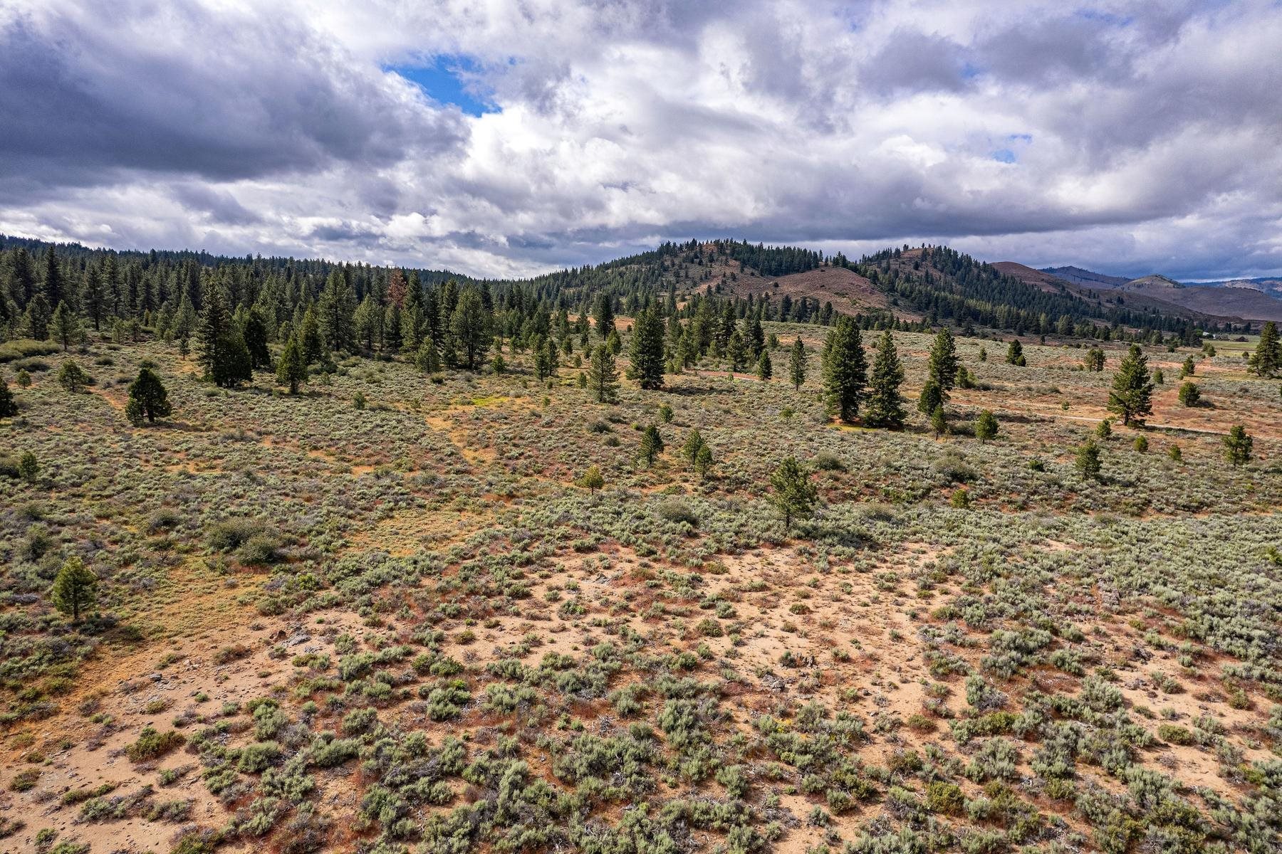 2990 Segundo Road Beckwourth, CA 96129 - Photo 25 of 28