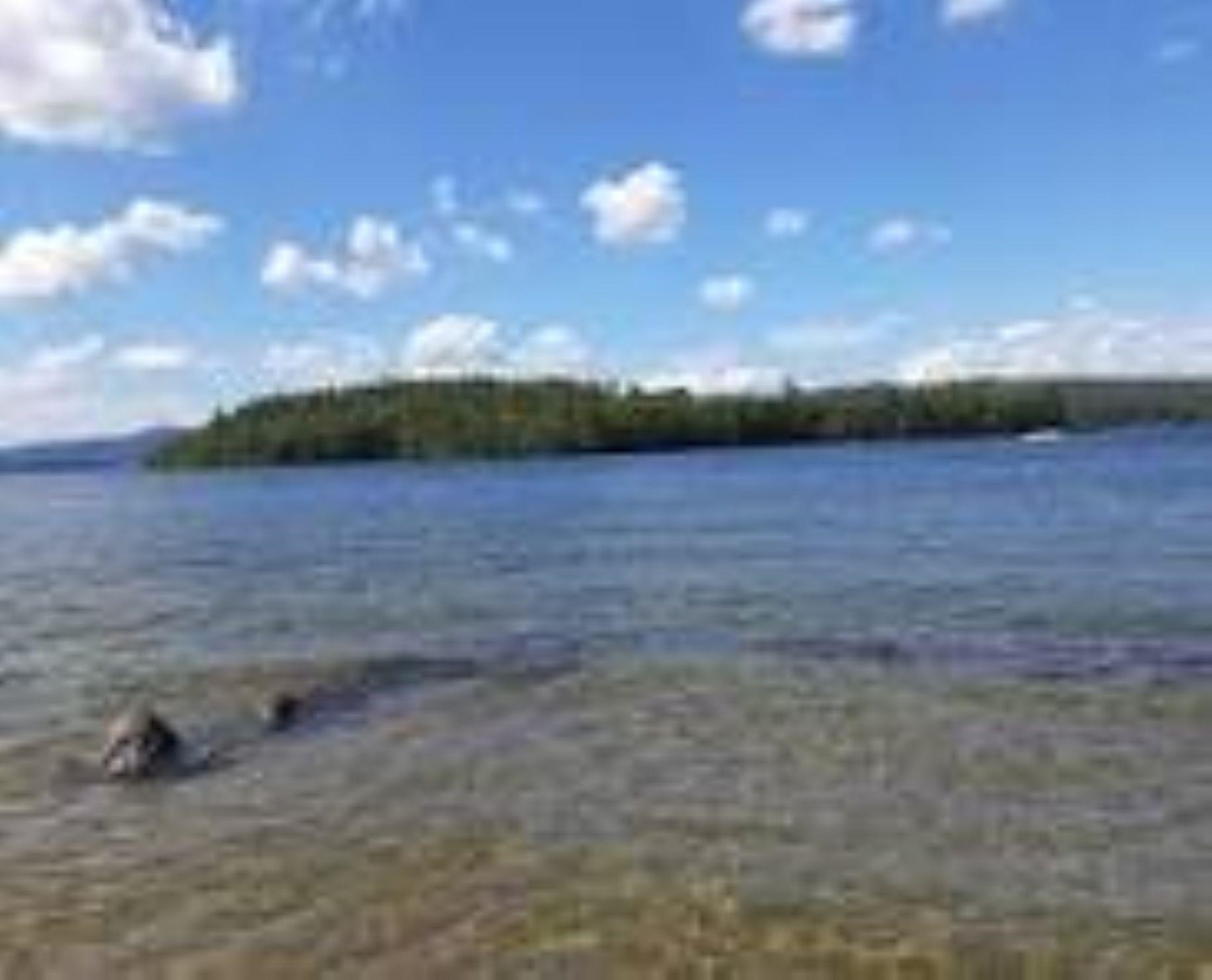 151 West Shore Road, Unit #14 Bristol, NH 03222 - Photo 18 of 43 Gallery Image 18