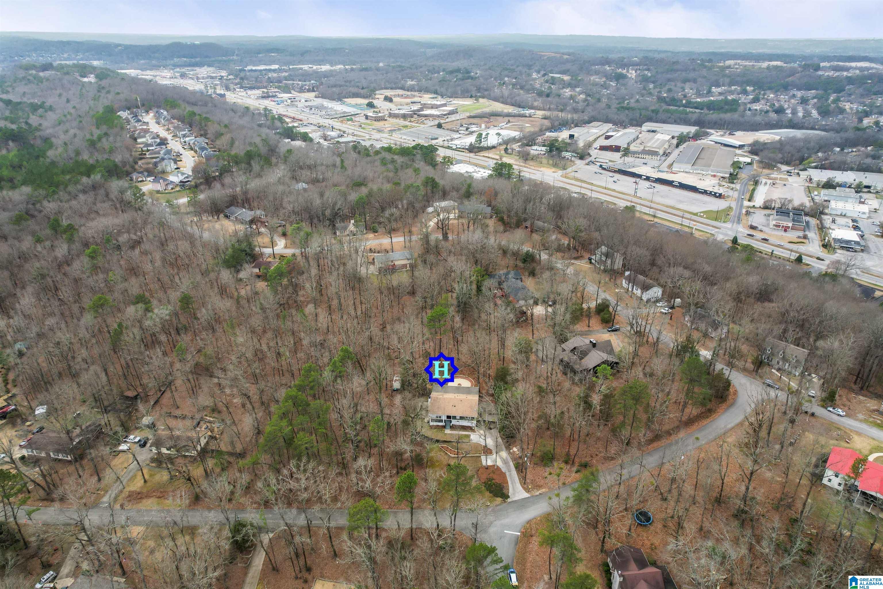 20 Oak Ridge Drive Pelham, AL 35124 - Photo 10 of 44