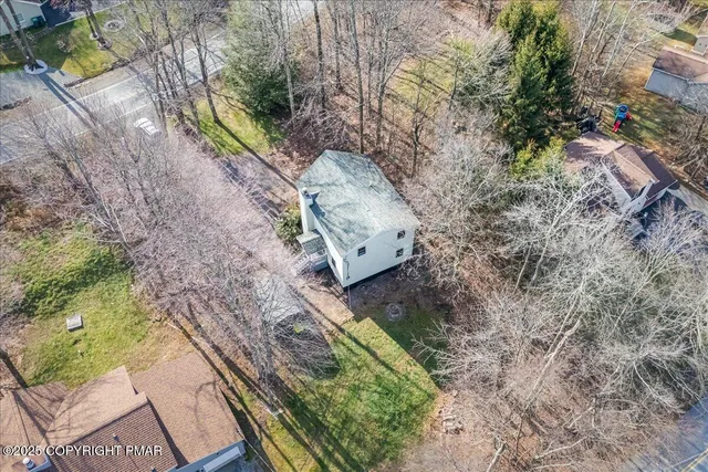 a view of a yard with plants