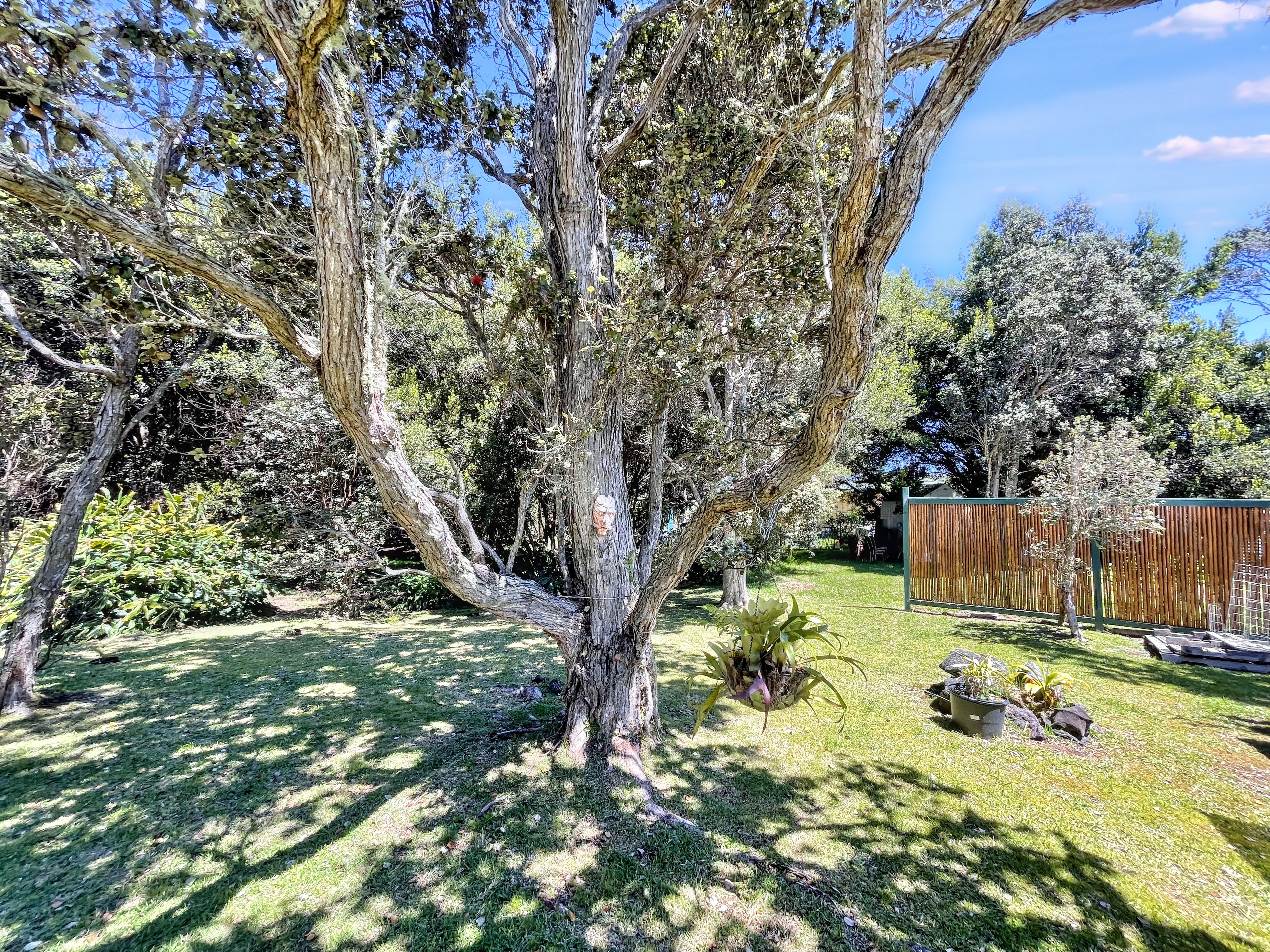 99-7721 Kilau Place Volcano, HI 96785 - Photo 29 of 29