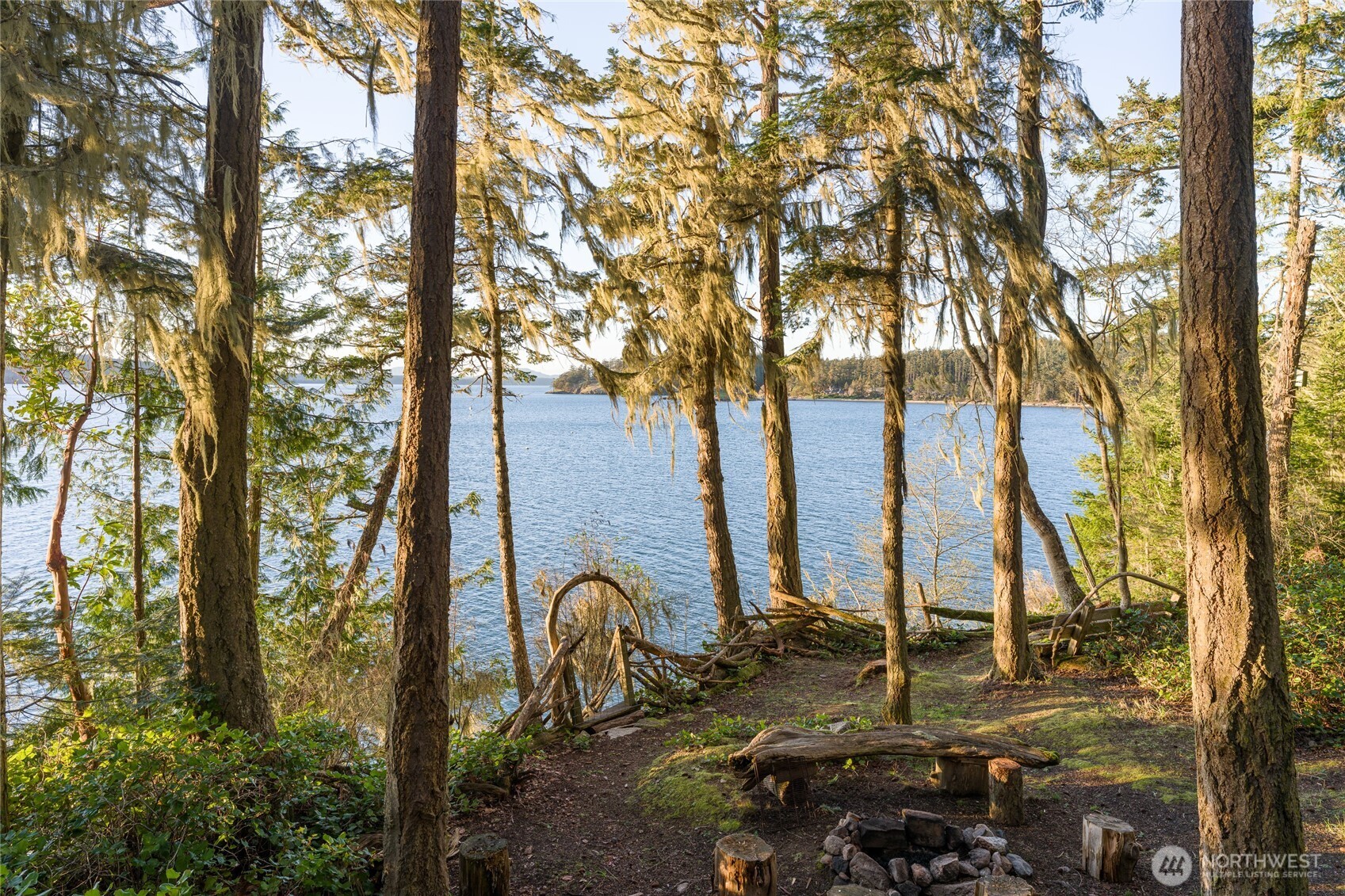 385 Doe Run Road Lopez Island, WA 98261 - Photo 29 of 31 a view of a forest with trees