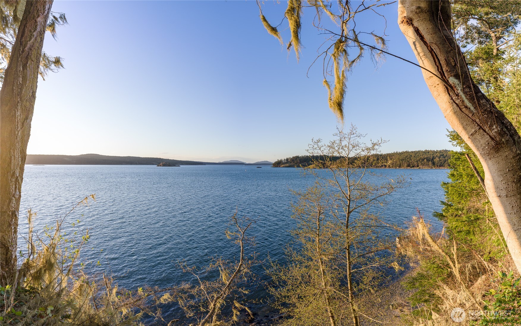 385 Doe Run Road Lopez Island, WA 98261 - Photo 3 of 31
