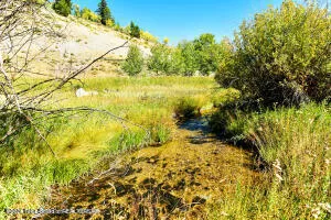 $5,300,000 | 6000 Heck Of A Hill Road, Wilson, WY 83014