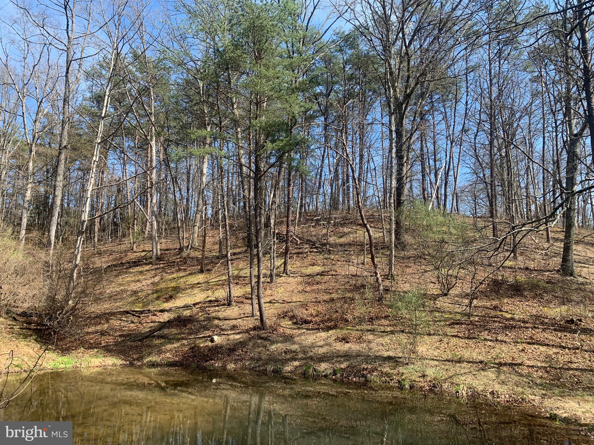 Black Oak Road Warfordsburg, PA 17267 - Photo 11 of 20 Pond