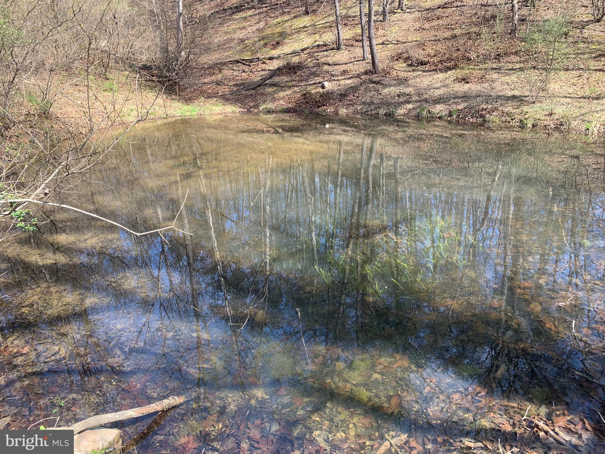 Black Oak Road Warfordsburg, PA 17267 - Photo 12 of 20 Pond