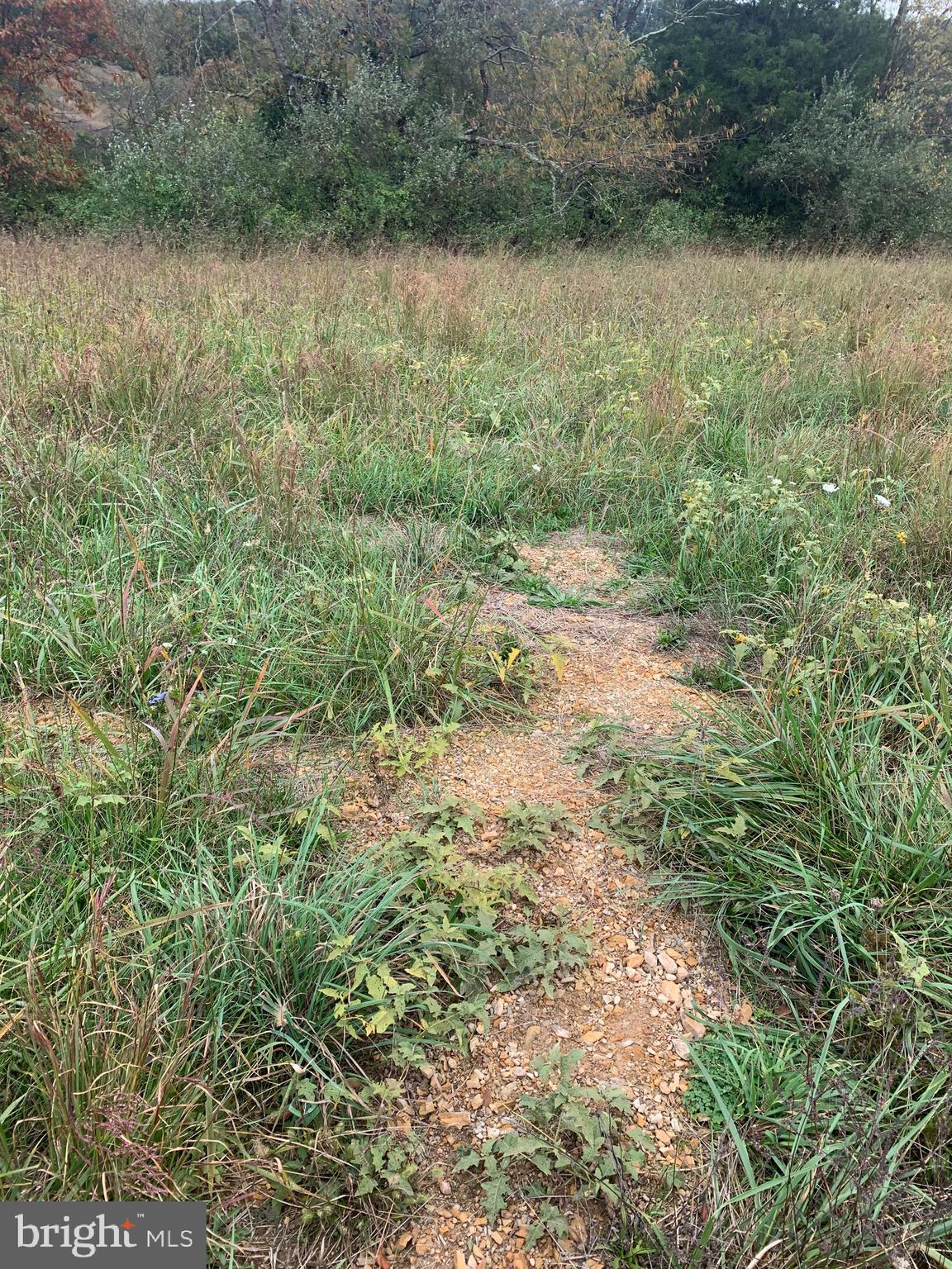 Black Oak Road Warfordsburg, PA 17267 - Photo 13 of 20